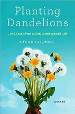 dandelions.JPG